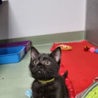 Photo of Bagel