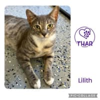 Photo of Lilith
