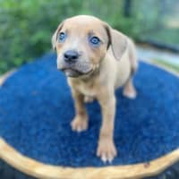 Photo of D1200 Willamina