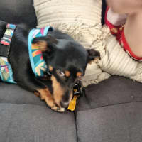 Photo of Derpy