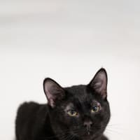 Photo of Storm