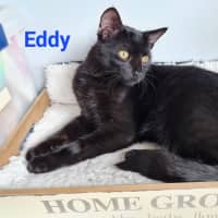 Photo of Eddy