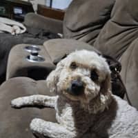 Photo of Cali And Theo