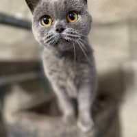 Photo of Fafa And Britt