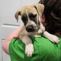 Photo of Epponnee Rae