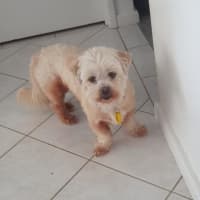 Photo of Roxy