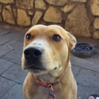 Photo of Thor