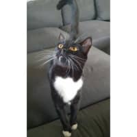 Photo of 10699   Levi