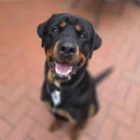 Photo of Big Baby Ben