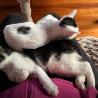 Photo of Adelina & Flora