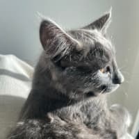 Photo of Charlie King