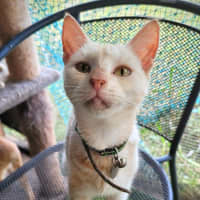 Photo of Gretle 