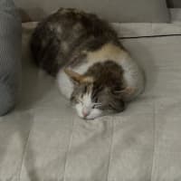 Photo of Millie