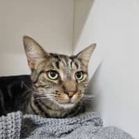 Photo of Squiggs
