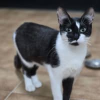 Photo of Blinky