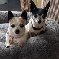 Photo of Chase And Isabella 