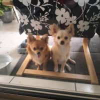 Photo of Reeba And Allan 