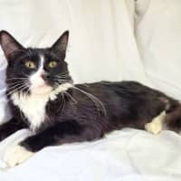 Photo of Jaxson 🖤