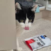 Photo of Gadget (0196)