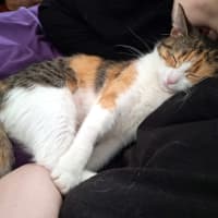 Photo of Samantha Sta014309