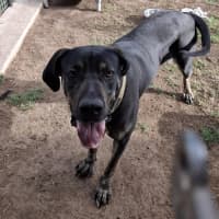 Photo of Kaizer