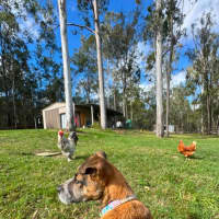 Photo of Ernie