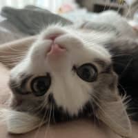 Photo of Bean Sprout