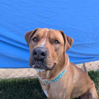 Photo of Ted