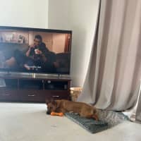 Photo of Archie