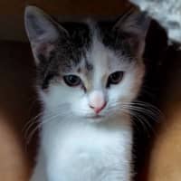 Photo of Kimmie 🌺