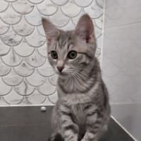 Photo of Zara And Zulu