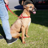 Photo of Sienna