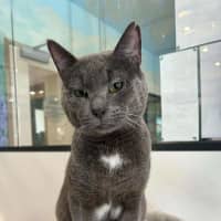 Photo of Sweetie Boy