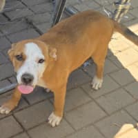Photo of Shilo
