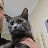 Photo of Storm