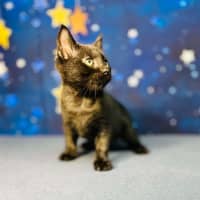 Photo of Barry   Located In Preston 