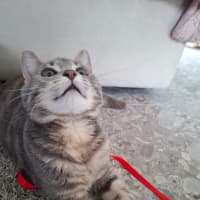 Photo of Smokin 🔥