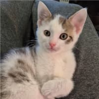 Photo of Bobby