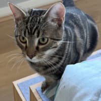 Photo of Albert