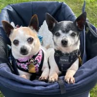 Photo of Chase And Isabella 