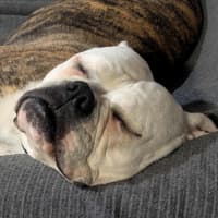 Photo of Bettina