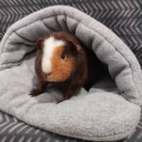 Photo of Lil