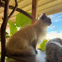 Photo of Casper