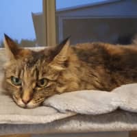 Photo of Nina O’cleary