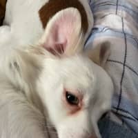 Photo of Teddy