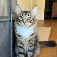 Photo of Picklebean