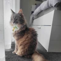 Photo of Klaus