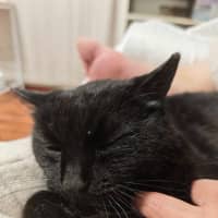 Photo of Marcy