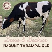 Photo of Bessie & Beatrice