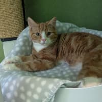 Photo of Martian